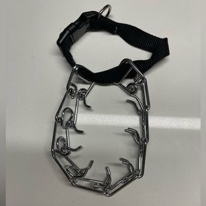 Buckle Prong Training Dog Collar by Gentle Paws